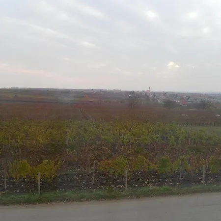 Madl * Velke Bilovice